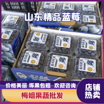 暖棚蓝莓，一手货源，视频看货，产地直销，全国发货。