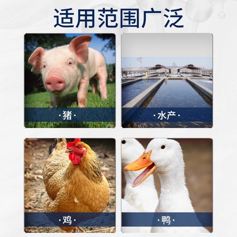 秘鲁鱼粉鱼骨粉鸽子补钙水产鸡鸭猪畜禽养殖饲料添加剂