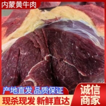 黄牛肉黄膘牛肉内蒙草原放养黄牛现杀现发全国发货