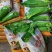掺混肥料20-5-10全水溶复合肥含氯水稻玉米花生甘蔗通