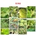 果珍肥生物菌肥复合型颗粒生物菌剂土壤活化剂氮肥通用肥