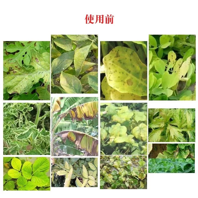 果珍肥生物菌肥复合型颗粒生物菌剂土壤活化剂氮肥通用肥