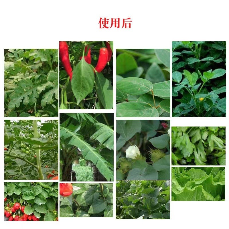 果珍肥生物菌肥复合型颗粒生物菌剂土壤活化剂氮肥通用肥