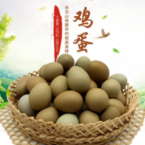 精品野鸡蛋七彩山鸡蛋大量供应品质保证欢迎咨询