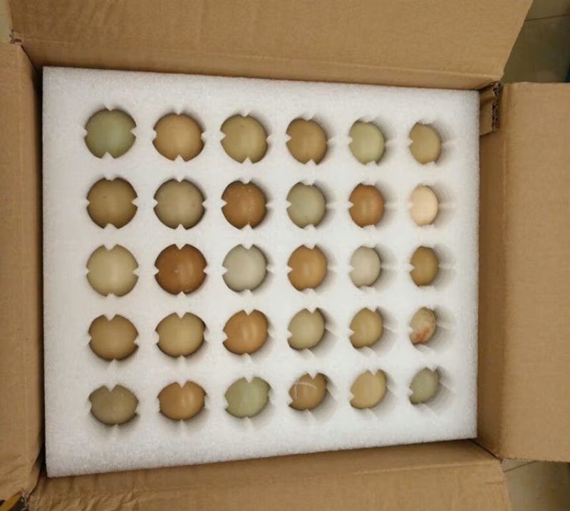 精品野鸡蛋七彩山鸡蛋大量供应品质保证欢迎咨询