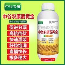 麦黄金小麦专用叶面肥促返青分蘖抗寒防冻穗大粒饱小麦增产高