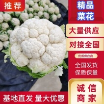 汉中菜花，小包叶，乳白，2一3斤全国发货欢迎来电咨询