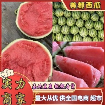 精品美都西瓜美都麒麟瓜包熟包甜量大从优全国发货