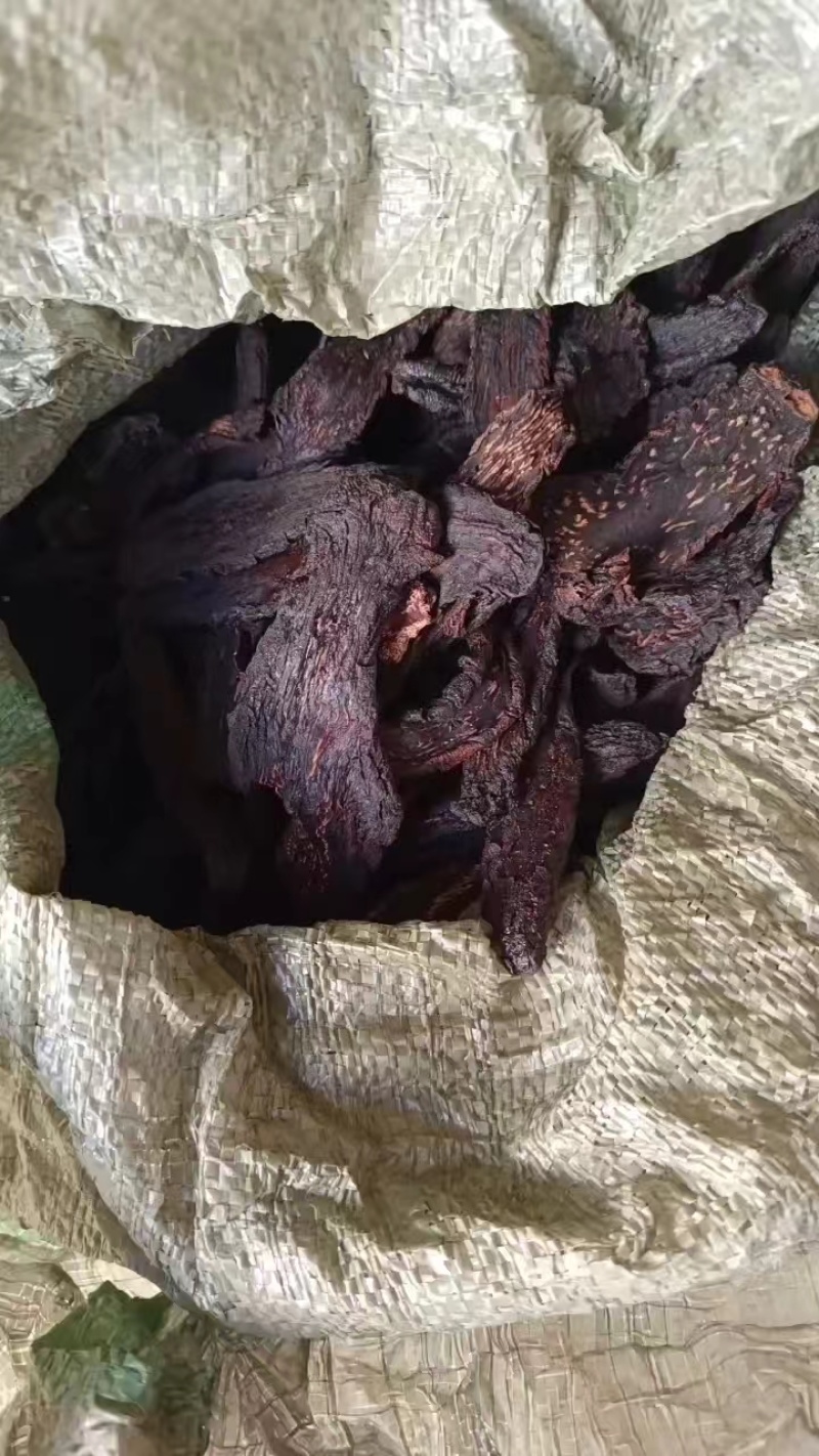油苁蓉小片切片内蒙古发货包邮批发苁蓉批发苁蓉整根非锁阳