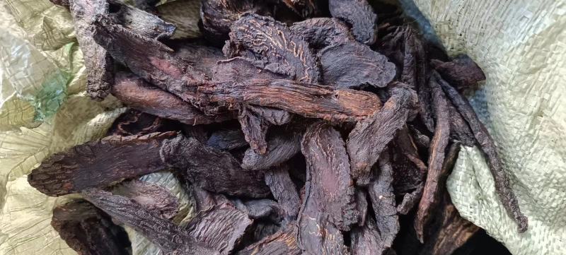 油苁蓉小片切片内蒙古发货包邮批发苁蓉批发苁蓉整根非锁阳