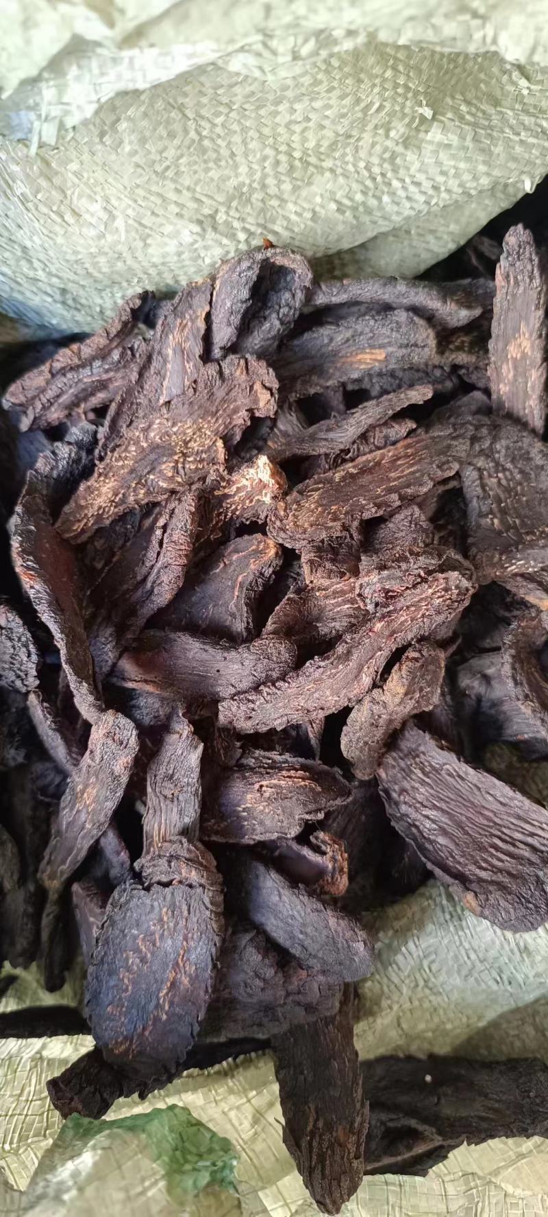 油苁蓉小片切片内蒙古发货包邮批发苁蓉批发苁蓉整根非锁阳