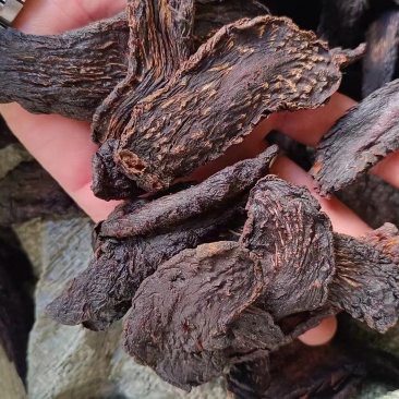 油苁蓉小片切片内蒙古发货包邮批发苁蓉批发苁蓉整根非锁阳