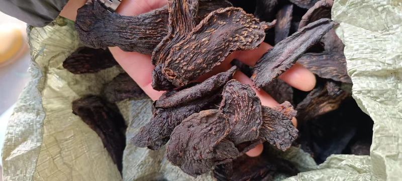 油苁蓉小片切片内蒙古发货包邮批发苁蓉批发苁蓉整根非锁阳
