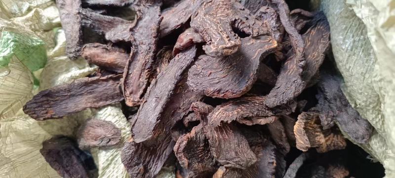 油苁蓉小片切片内蒙古发货包邮批发苁蓉批发苁蓉整根非锁阳