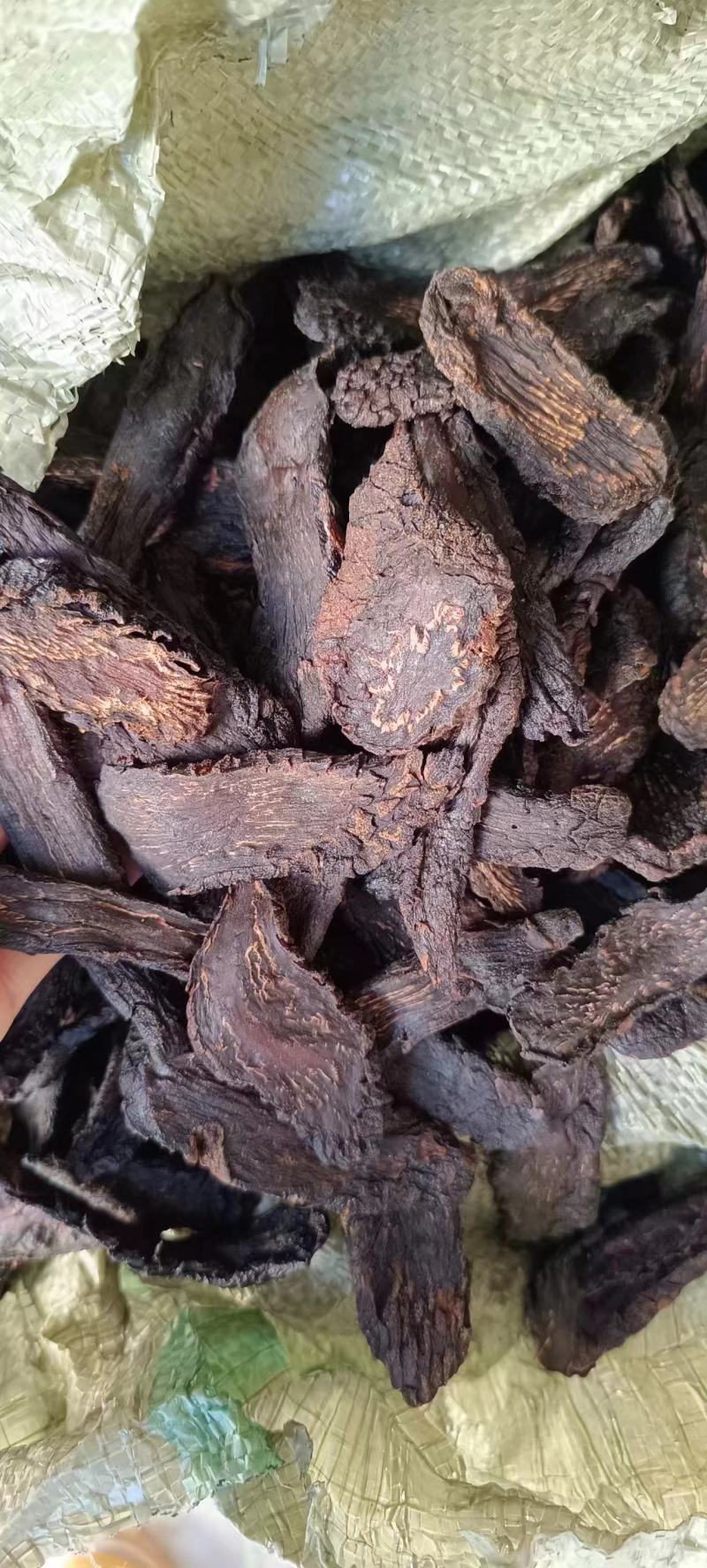 油苁蓉小片切片内蒙古发货包邮批发苁蓉批发苁蓉整根非锁阳
