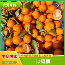 广西桂林沙糖桔精品砂糖橘大量上市，产地直发对接电商市场超市