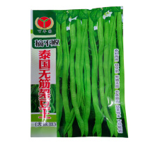 泰国无筋架豆王种子抗病热高产豇豆种子无纤维架豆王豆角种子