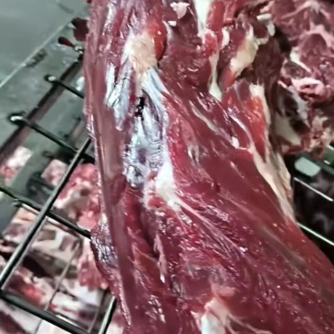 【牛脖肉】河南基地直供质量保证一手货源量大优惠