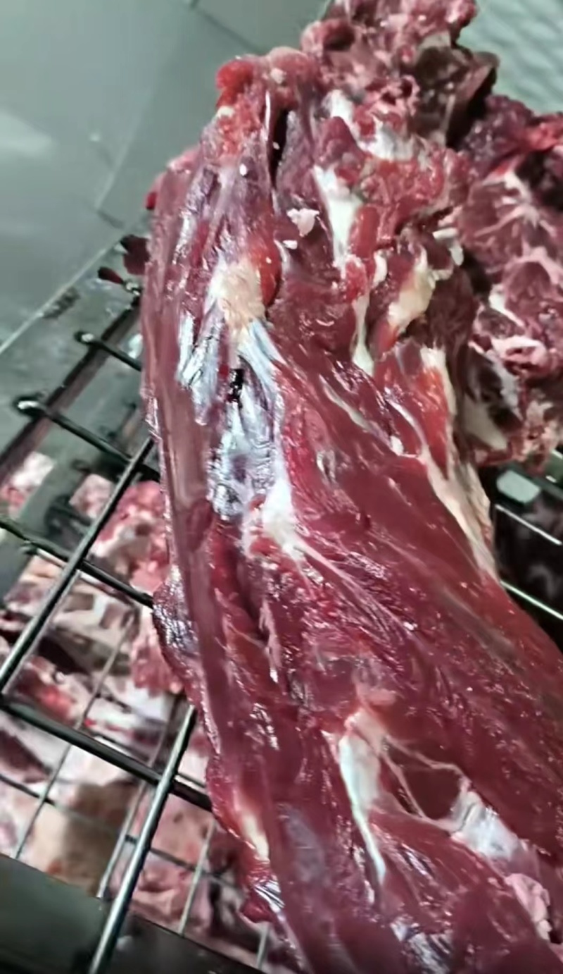 【牛脖肉】河南基地直供质量保证一手货源量大优惠