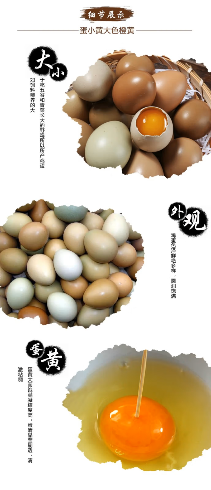 精品七彩山鸡蛋野鸡蛋大量供应全国可发货