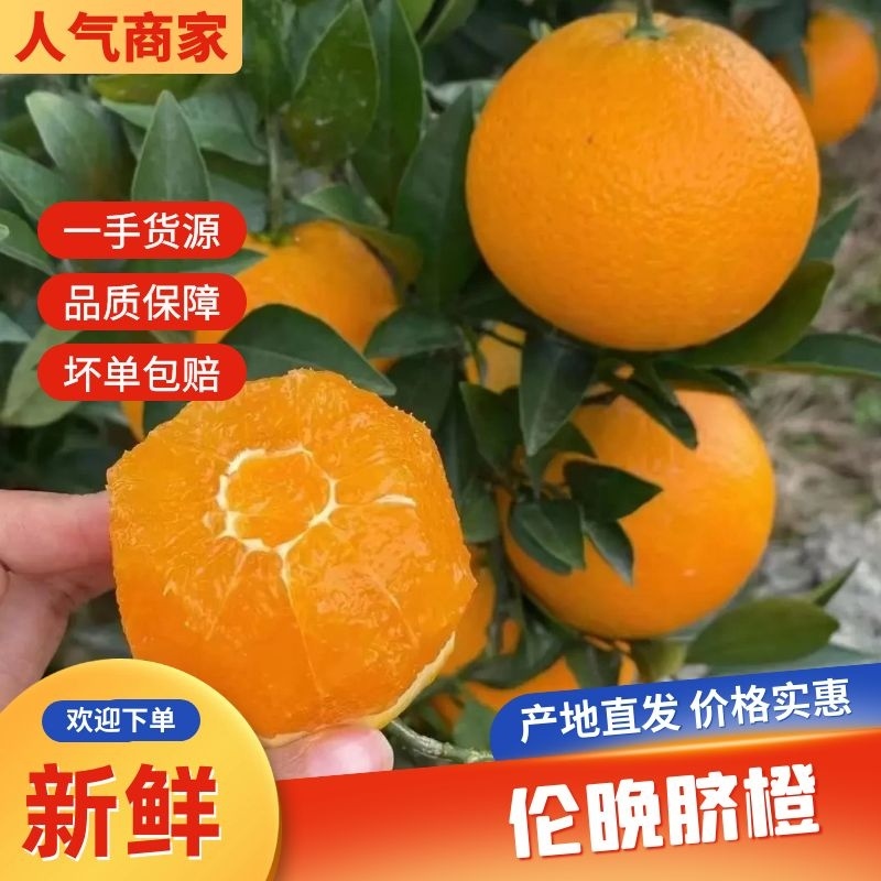 【热销】宜昌帝王橙伦晚脐橙自家百亩果园产地直销