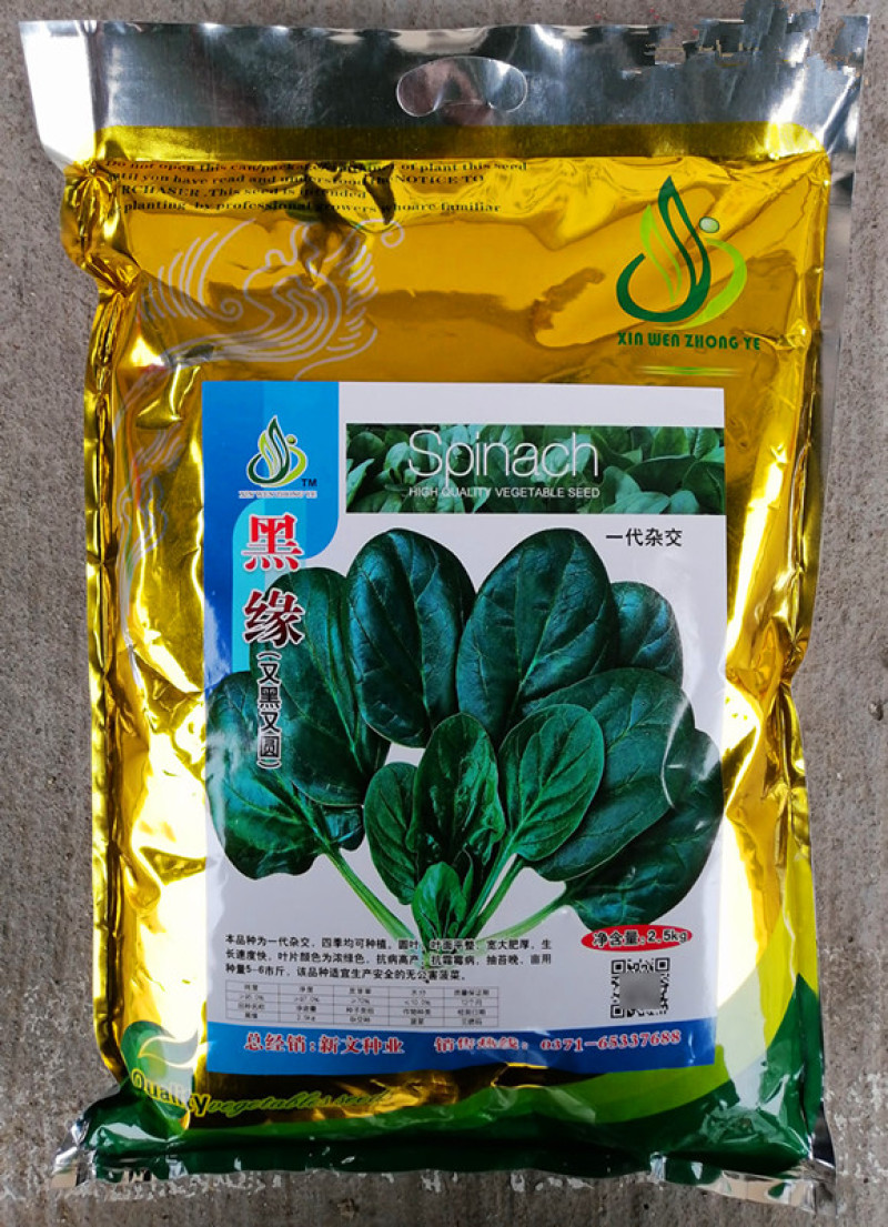 黑圆叶菠菜种子5斤原装半直立叶片肥厚抗病耐抽苔基地用
