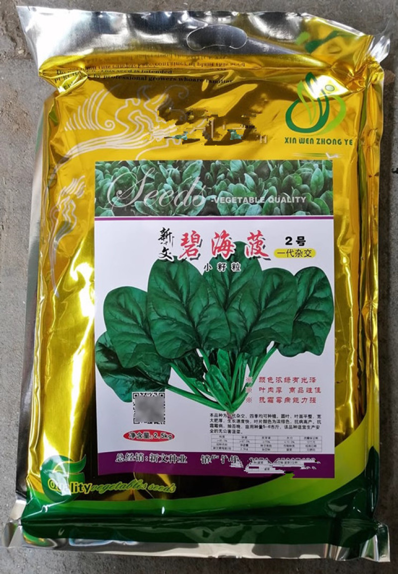 黑圆叶菠菜种子5斤原装半直立叶片肥厚抗病耐抽苔基地用