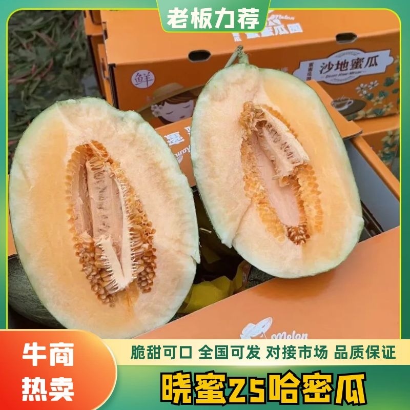 精品海沙瓜，红到皮，小蜜25.，哈密瓜全国整车代发