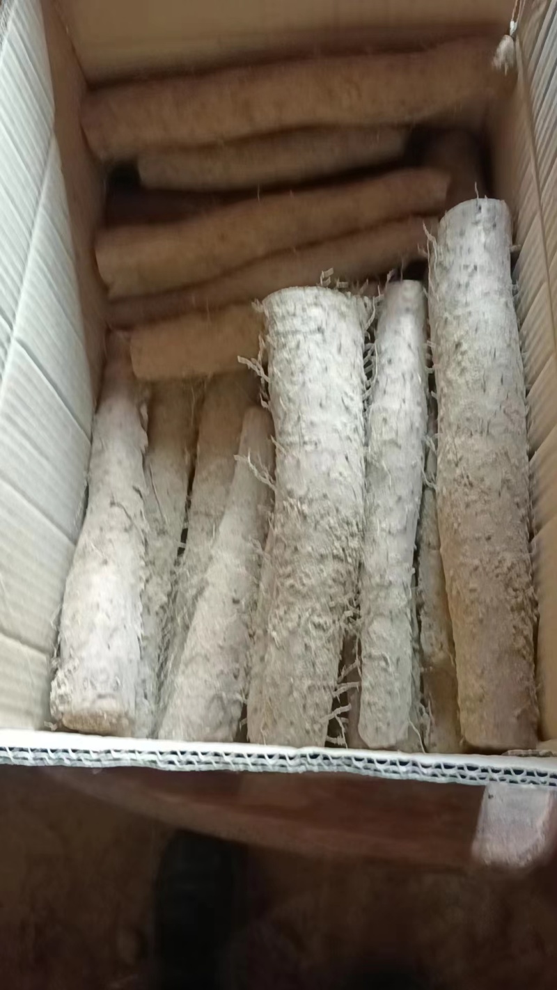 精品山药白玉山药，条形直，颜色好，特别粉，纯沙地