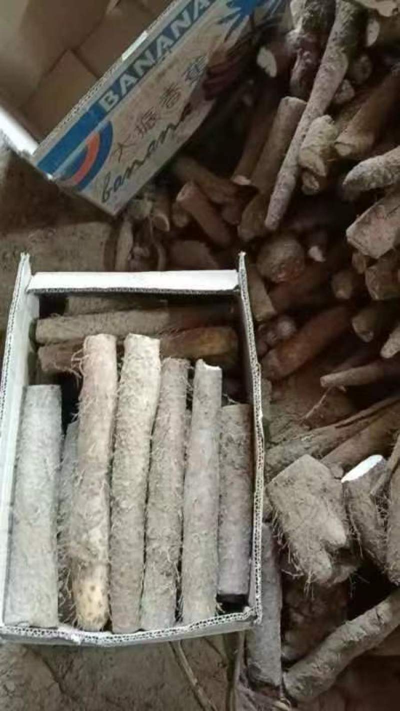精品山药白玉山药，条形直，颜色好，特别粉，纯沙地