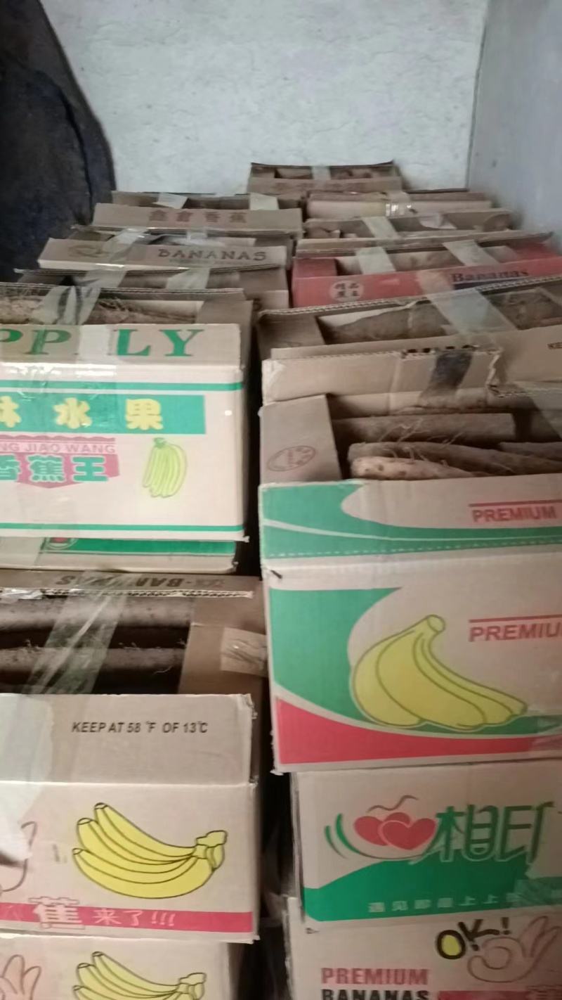 精品山药白玉山药，条形直，颜色好，特别粉，纯沙地