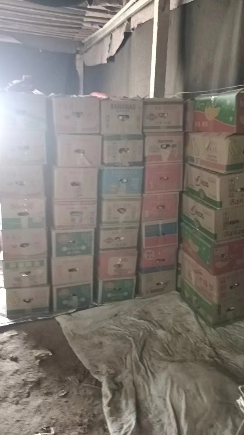 精品山药白玉山药，条形直，颜色好，特别粉，纯沙地