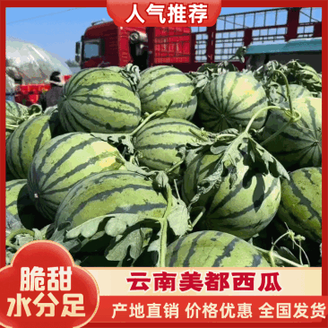 【云南麒麟美都】脆甜无籽皮毛靓糖度高产地直发大量现货