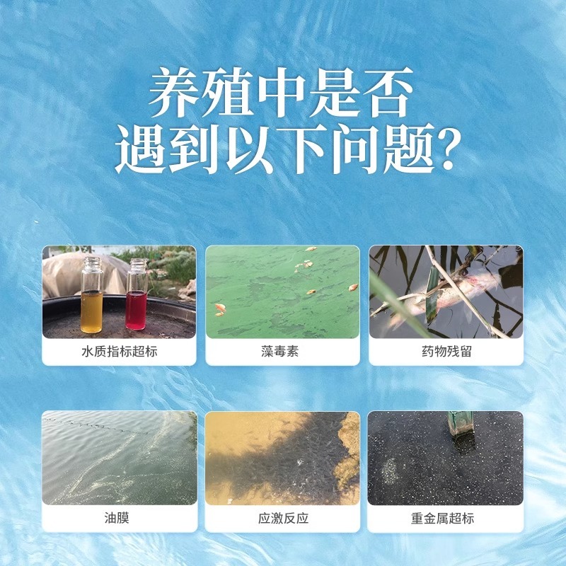 碧水安水产养殖有机酸果酸调水净水除油膜降ph降亚
