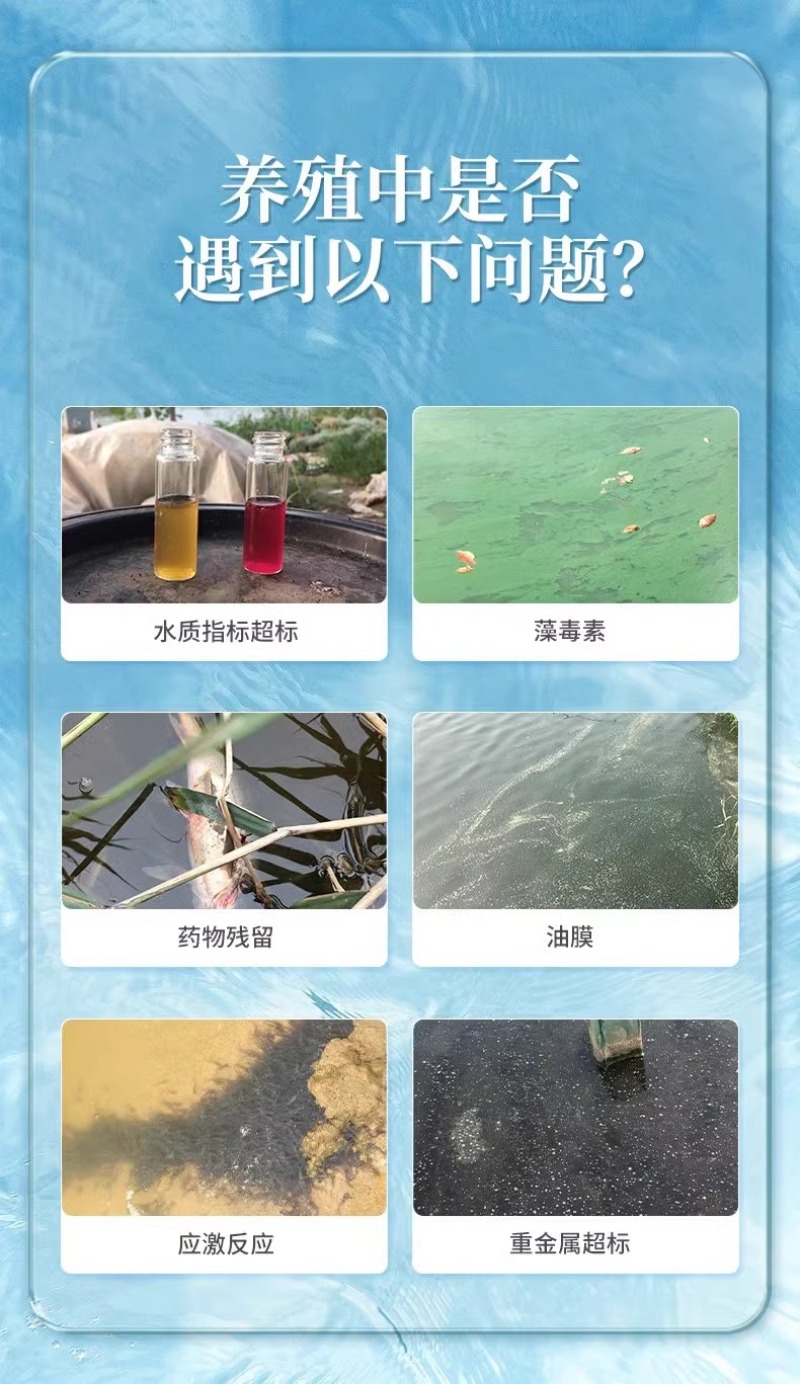 碧水安水产养殖有机酸果酸调水净水除油膜降ph降亚