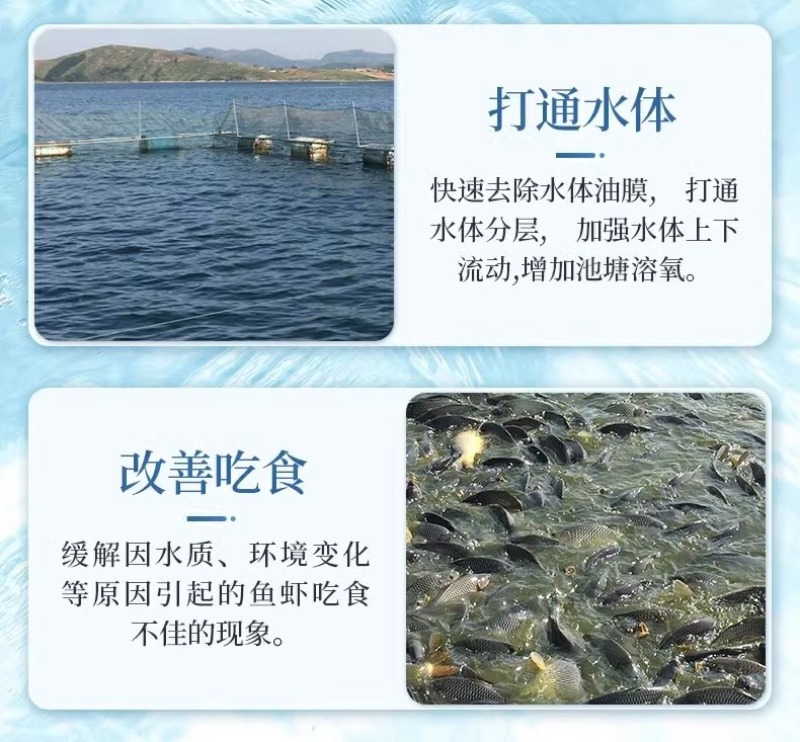 碧水安水产养殖有机酸果酸调水净水除油膜降ph降亚