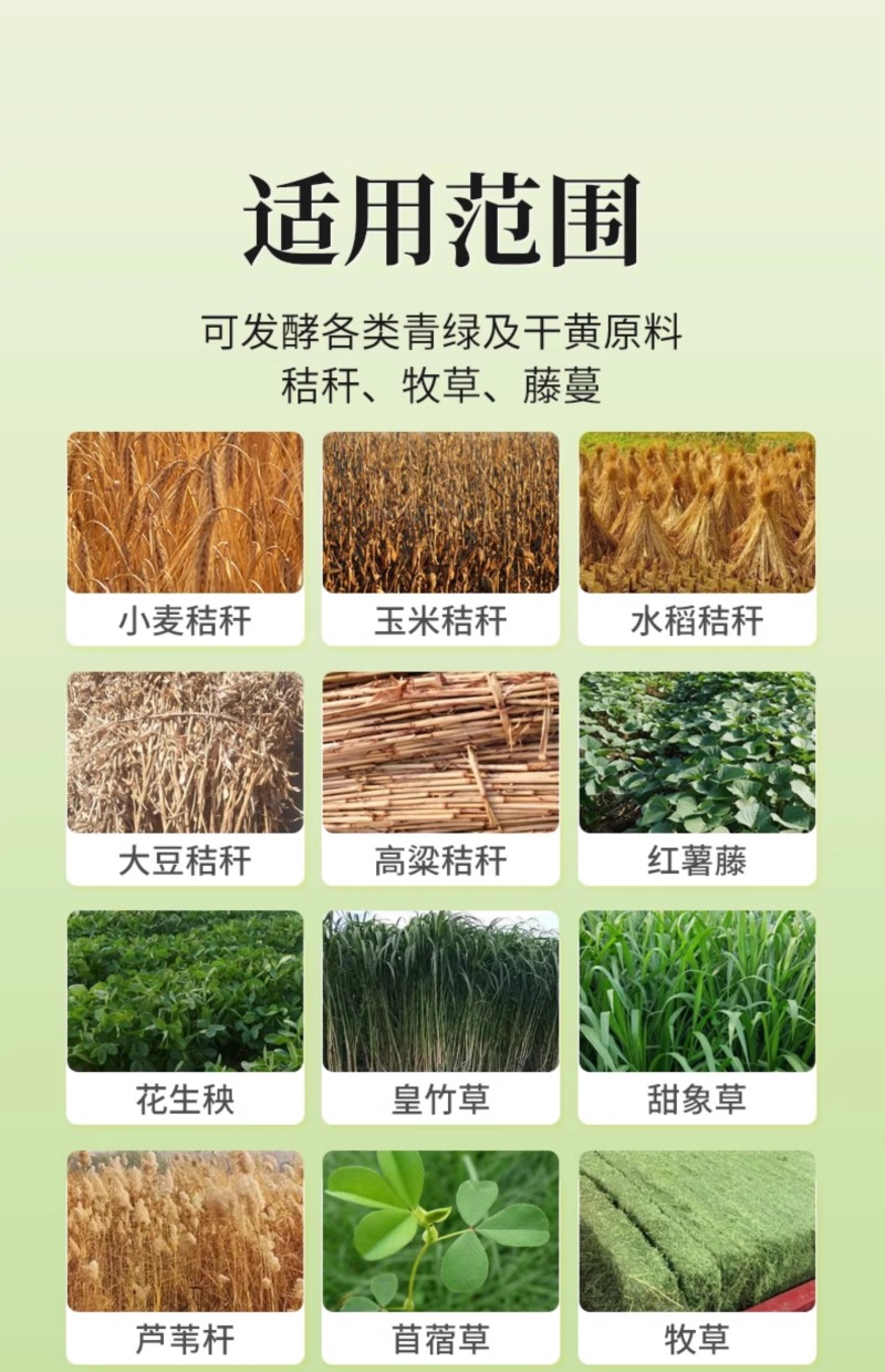 秸秆发酵剂玉米青储饲料发酵剂牛羊养殖青贮黄贮豆渣酒糟泔水