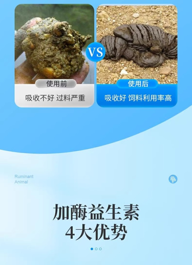 加酶益生素猪牛羊禽鸡调理肠胃养殖用增重催肥