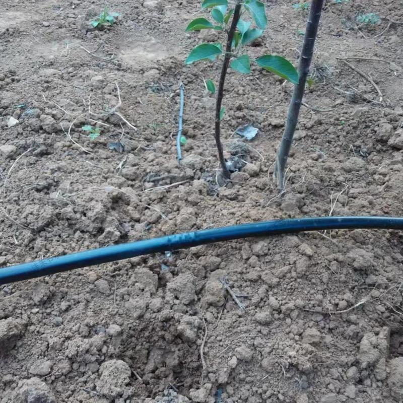 滴灌管农田农用灌溉节水Φ16毫米内镶圆柱式pe管滴灌