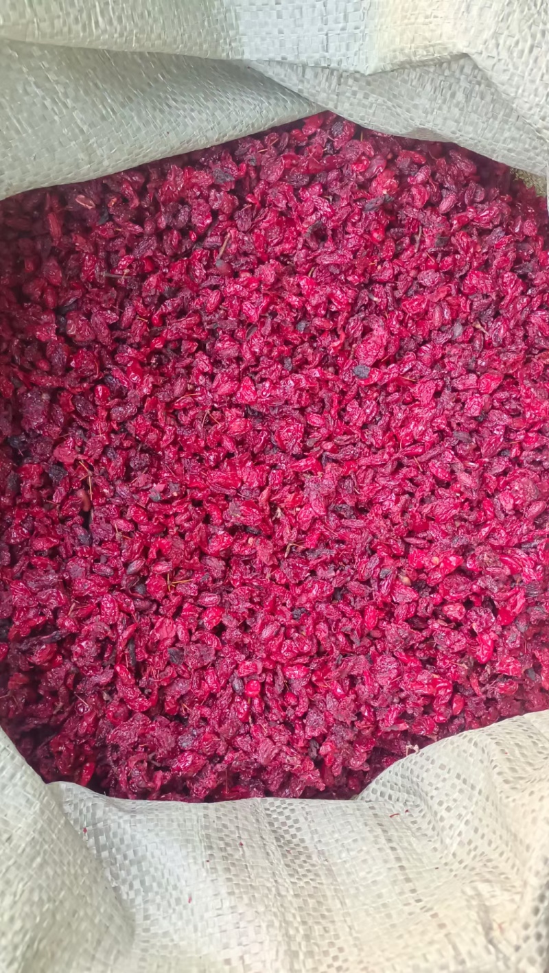 道地产区商洛山茱萸直供，全干货山茱萸大货代售