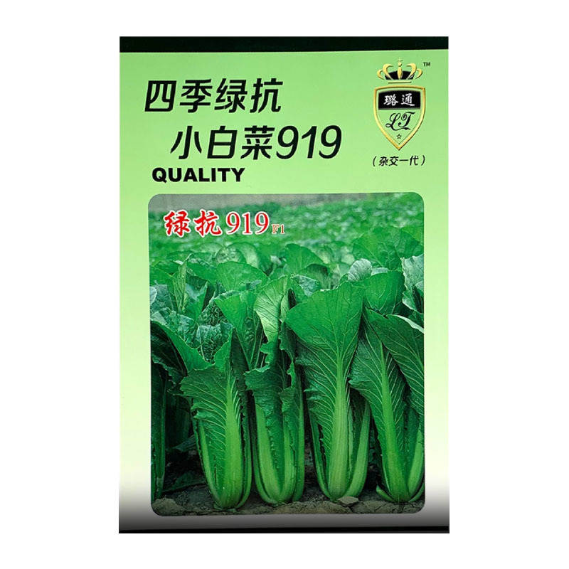 青梗小白菜种子绿抗919四季小白菜种子杂交一代小青菜种籽
