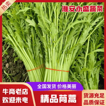 【优选商家】精品茼蒿新鲜发货可按需包装售后无忧商超市场