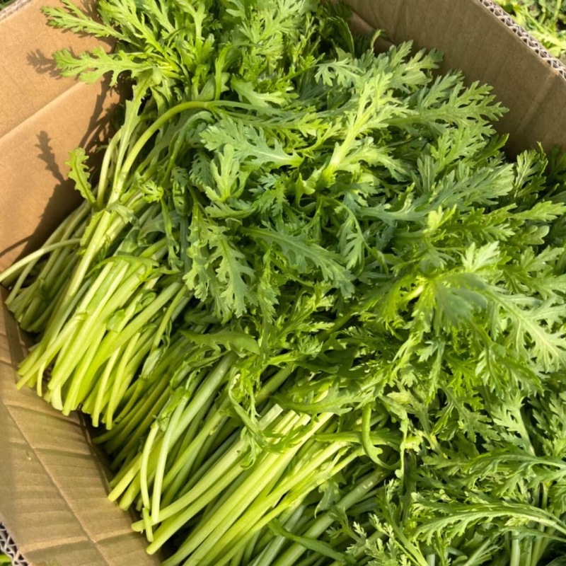 【优选商家】精品茼蒿新鲜发货可按需包装售后无忧商超市场