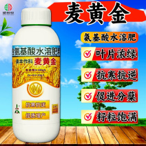 奥丰麦黄金小麦叶面肥籽粒饱满抗倒伏促进分蘖含氨基酸水溶肥