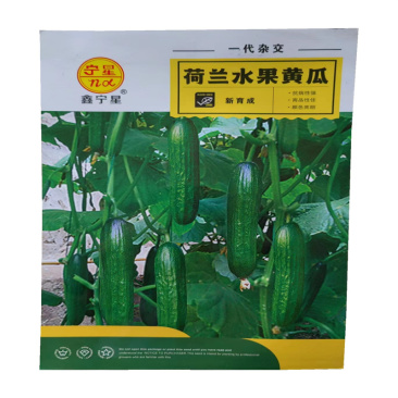 荷兰水果黄瓜种子高产耐热节节有瓜迷你水果黄瓜种子