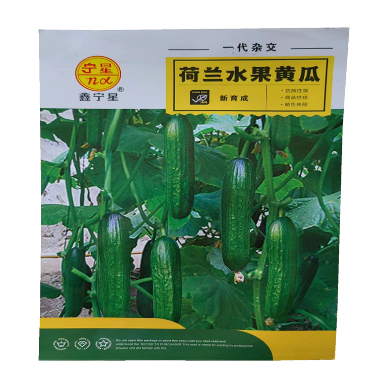 荷兰水果黄瓜种子高产耐热节节有瓜迷你水果黄瓜种子
