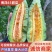 【博洋61甜瓜】河北博洋甜瓜现摘现发脆甜多汁欢迎咨询