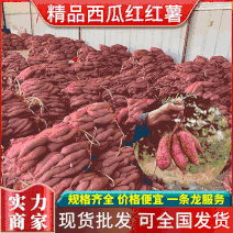 《实力商家》西瓜红红薯山东红薯规格齐全可全国发货