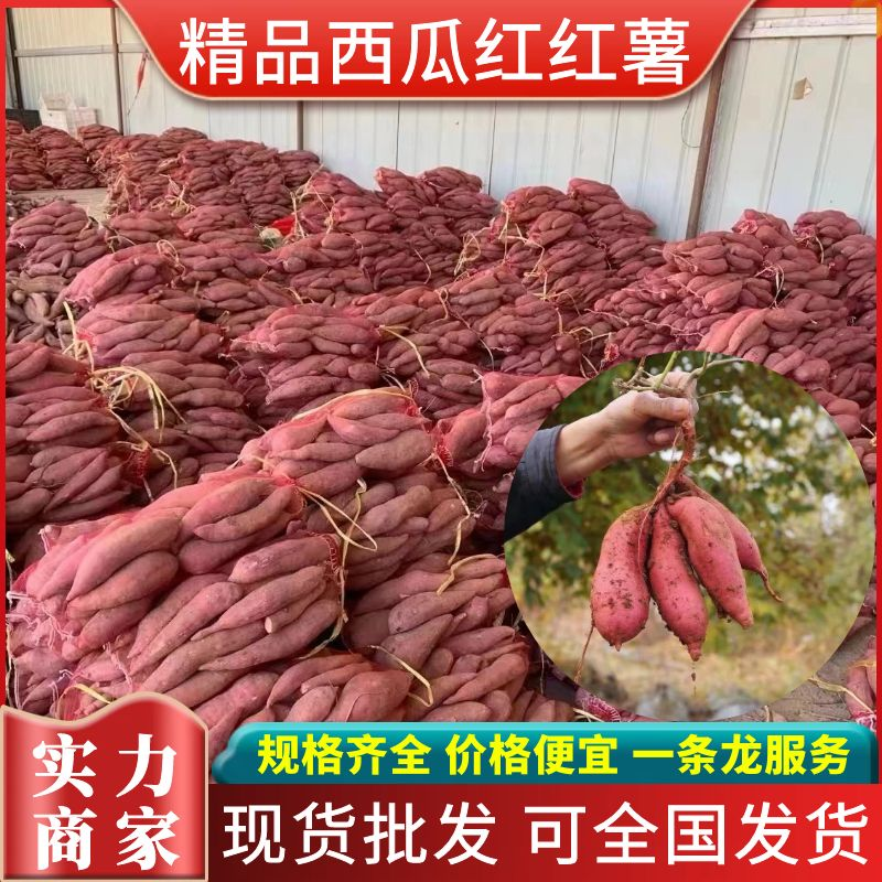 《实力商家》西瓜红红薯山东红薯规格齐全可全国发货