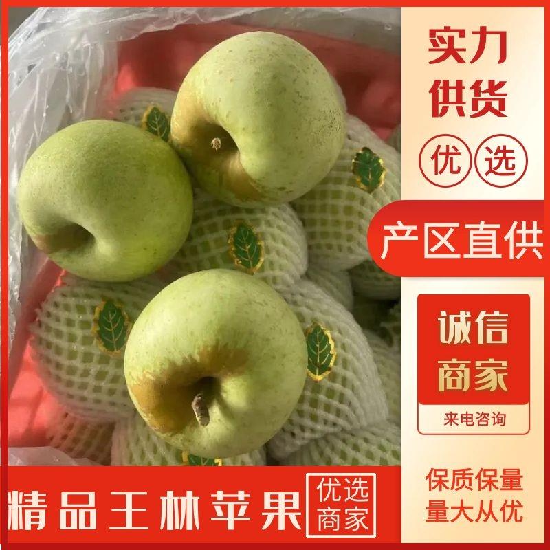 王林苹果青苹果大量有货品质保障量大从优对接市场